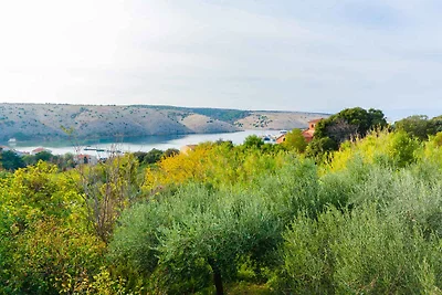 Vakantieappartement Gezinsvakantie Lopar