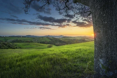 Apartament Dla rodzin Pisa