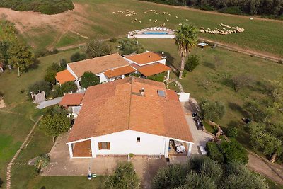 Ferienhaus mit Pool
