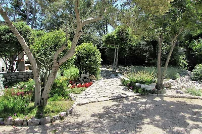 Ferienwohnung mit Meerblick und nur 15 Meter 