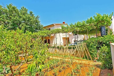 Ferienwohnung mit Terrasse