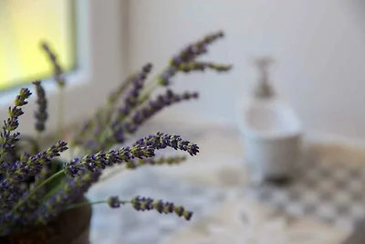 Casa vacanze Vacanza di relax Novi Vinodolski
