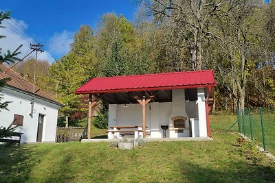 Ferienhaus mit Aussenpool