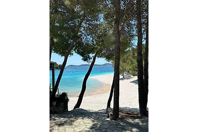Ferienwohnung erste Reihe zum Meer