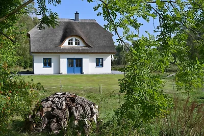 Casa vacanze Vacanza di relax Poseritz