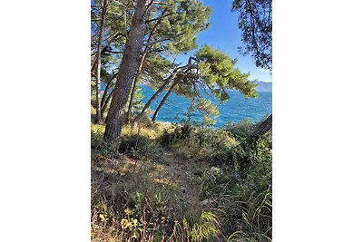 Ferienwohnung mit Meeresausblick