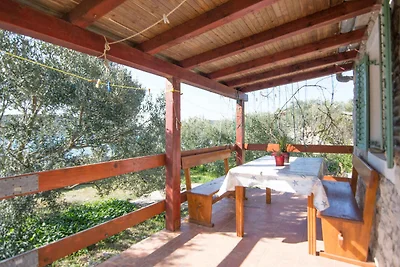 Ferienhaus mit Grill, am Meer