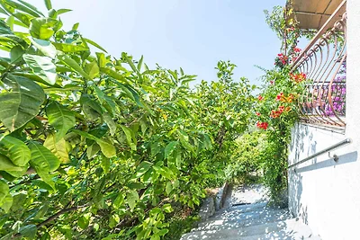 Komfortables Ferienhaus Vito mit Meerblick in