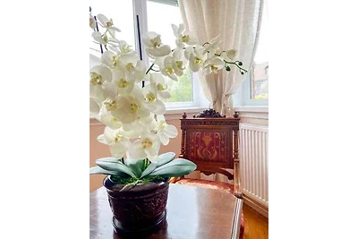 Vakantieappartement Gezinsvakantie Heviz