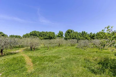 Appartamento Vacanza con famiglia Valbandon