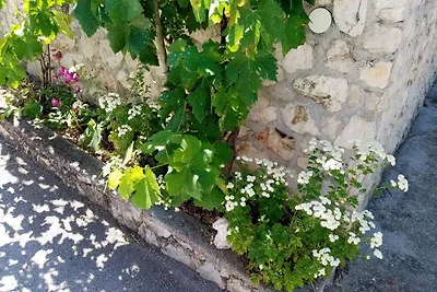 Gemütliche Ferienwohnung Nar in Vinišće mit M