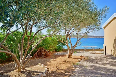 Appartamento Vacanza con famiglia Barbat