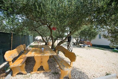 Ferienwohnung mit Terrasse