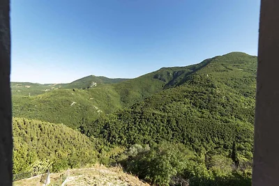 Ferienhaus mit Terrasse