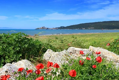 Holiday home relaxing holiday Orbetello