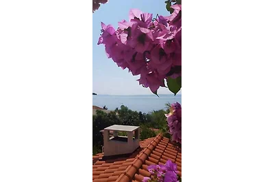 Ferienwohnung mit Meerblick