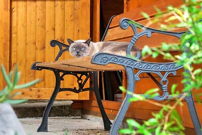 Ferienwohnung mit Terrasse