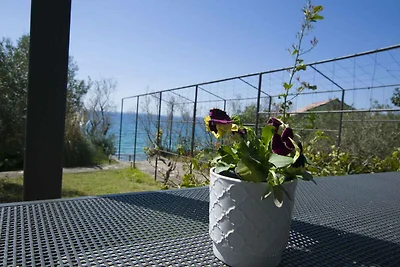 Gemütliche Ferienwohnung More in Kožino mit n