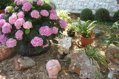 Holiday flat family holiday Kanica