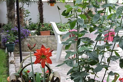 Ferienwohnung mit Aussenpool und Meerblick