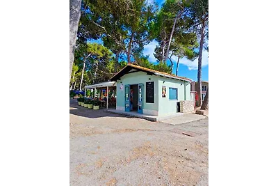 Mobilehome mit Parkplatz