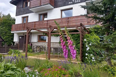 Ferienwohnung Im Skiegebiet