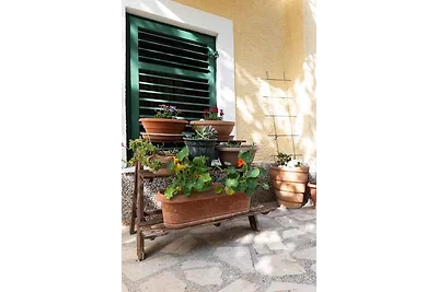 Appartamento Vacanza con famiglia Kukljica