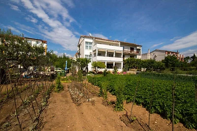 Appartamento Vacanza con famiglia Vodice