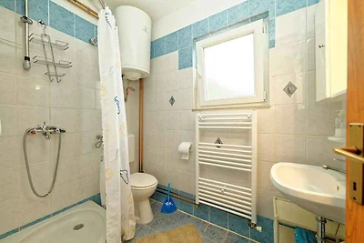 Vakantieappartement Gezinsvakantie Cizici