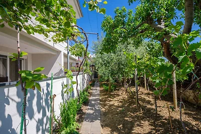 Appartement Vacances avec la famille Lopar