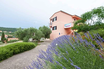 Ferienwohnung nur 50 m zur Adria