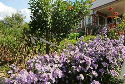 Vakantieappartement Gezinsvakantie Silo