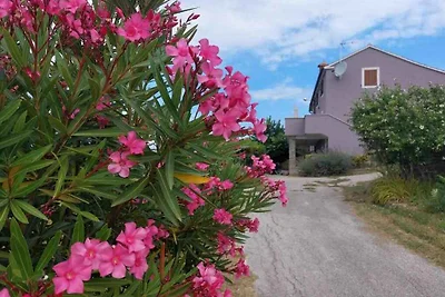 Appartamento Vacanza con famiglia Groznjan
