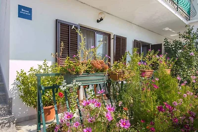 Ferienwohnung mit Klimaanlage und Terrasse