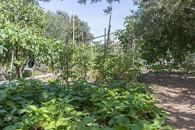 Gemütliche Ferienunterkunft Mila mit Meerblic