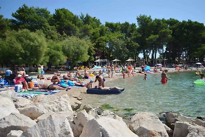 Ferienwohnung Familienfreundlich mit