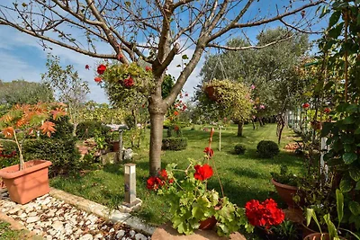 Ferienwohnung mit Grill