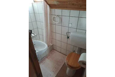 Ferienhaus mit Garten und Grill