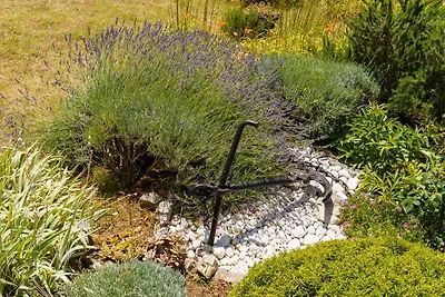 Ferienwohnung mit Meerblick