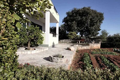 Ferienwohnung mit Klimaanlage und Terrasse in
