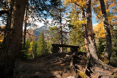 Ferienwohnung mit Infrarot