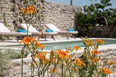 FerienHaus mit Pool