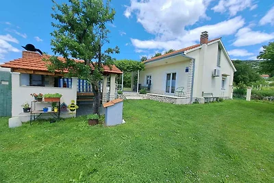 Ferienhaus mit Aussenpool