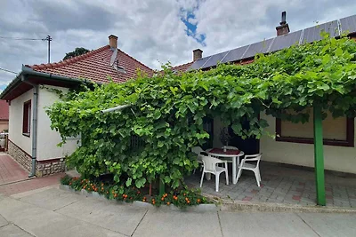 Vakantiehuis Ontspannende vakantie Siofok