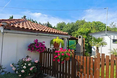 Ferienhaus mit Terrasse und einer Möglichkeit