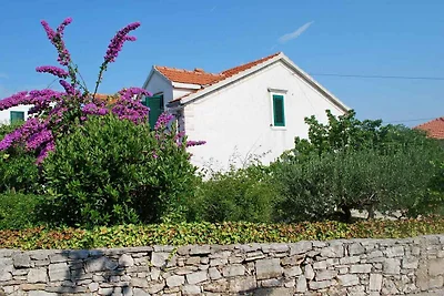 Appartamento Vacanza con famiglia Supetarska Draga