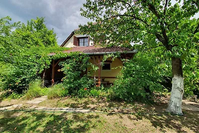 Ferienhaus eingerichtet in typisch ungarische