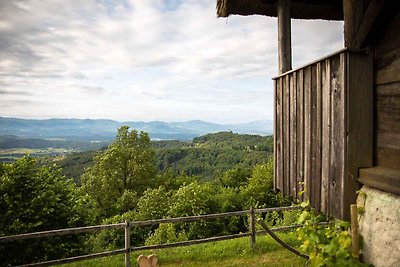 Vakantiehuis Ontspannende vakantie Otočec