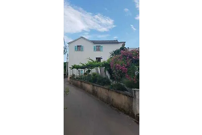 Appartamento Vacanza con famiglia Sužan