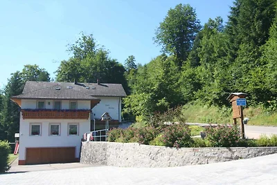 Vakantieappartement Gezinsvakantie Todtmoos